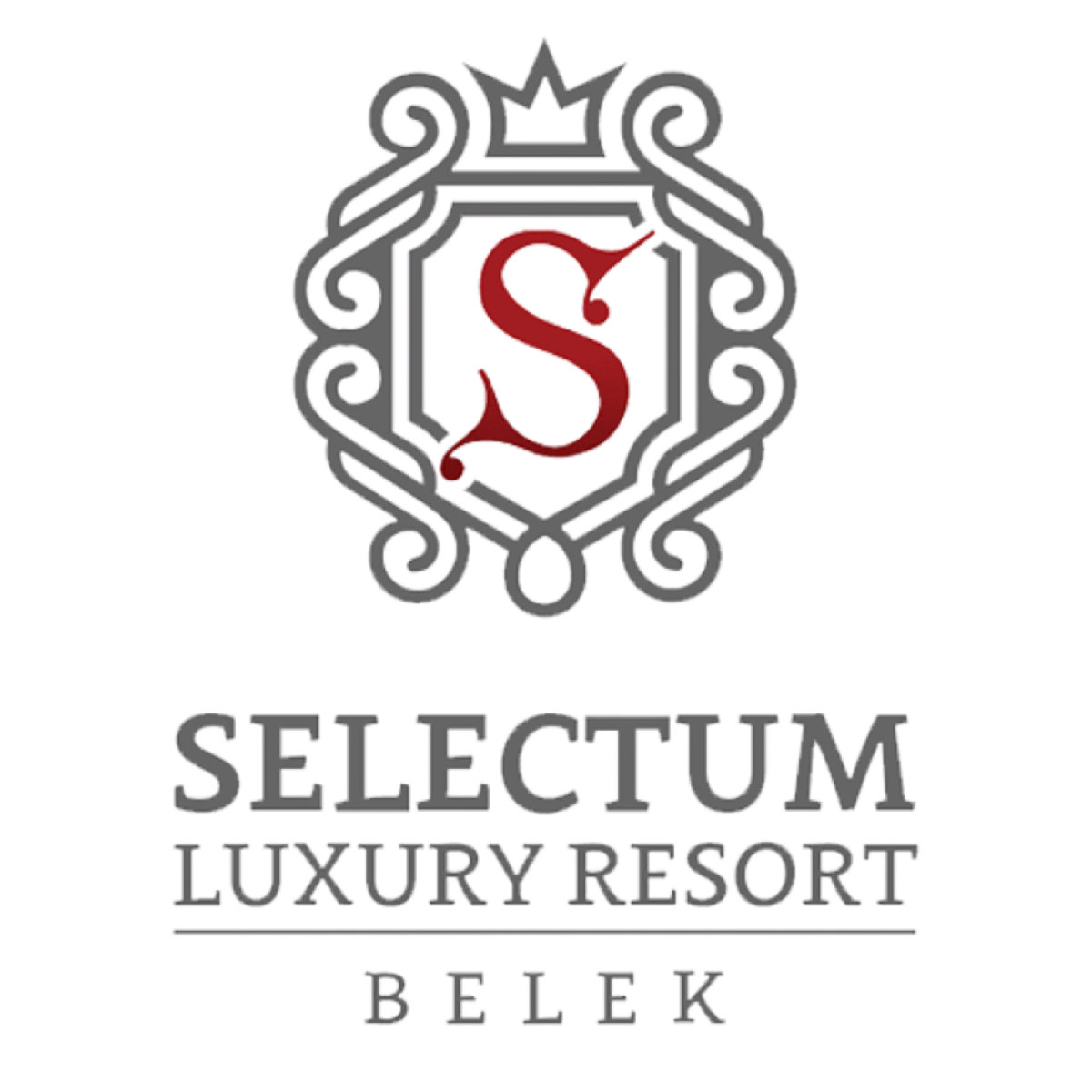 Logo Selectum